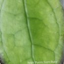 나눔까페 이미지