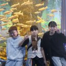 동탄한마음태권도장 이미지