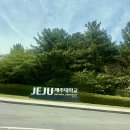 주식회사 마이크로발란스 | 일산피부 정발산역 원장의 제주대학교 화장품 청강 후기 [화학코스메틱스학과 소개/리프팅 화장품]