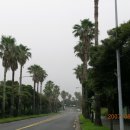 성이시돌요양원 이미지