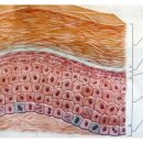 이삭한의원 이미지