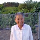울엄마 Daum카페