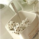 화이트하우스 이미지