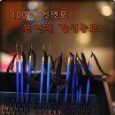 본연애헤어 이미지