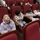 아기공룡 크로롱 이미지