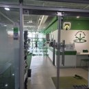 루트핏(ROOT FIT) 이미지