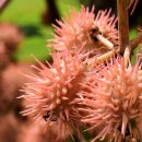 생활영어 마스터하기 이미지