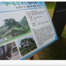 천도4리 공원 | 속리산 법주사-유네스코 문화유산 등재