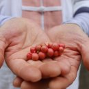 박종훈농장 이미지