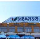 양동신발