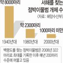 점박이물범과 어부, 인공 암초에서 '상생의 길' 찾는다 이미지