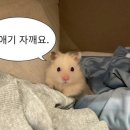 연희사러가 이미지