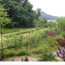 위례조아공인중개사사무소 이미지