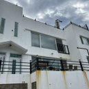 거제비타민씨 이미지