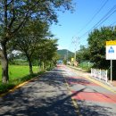 남산 마을회관 앞 이미지