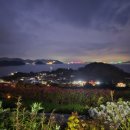 매미성 하늘정원 네이버블로그