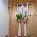 패브릭얀 마크라메 행잉 | 거실 플랜테리어 추천템 '마크라메 플랜트 행거' 모음