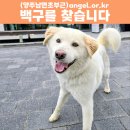 남면초 이미지