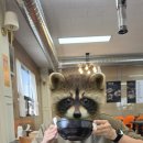 강화국밥