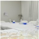 수원-1442 이미지