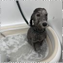 사계절, 멍 이미지