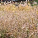 분당야탑3-A-6 이미지