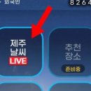 도야짬뽕제주외도점