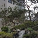 삼한상가공인중개사사무소 이미지
