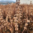 성곤농장 이미지