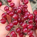 활터어린이공원 이미지