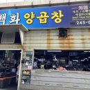 백화양곱창5호