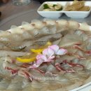 구미 횟집 맛집 추천 봉곡동 룸식당 산호횟집 도량점 모듬회 스끼다시 코스 내돈내산 후기
