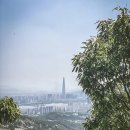 용마산 대삼각본점 이미지