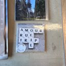 제스티파우더(Zesty powder) 이미지