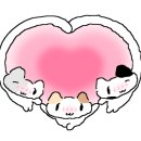 표선여가 이미지