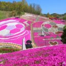 조각공원화장실 이미지