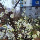 단심골프랜드 이미지