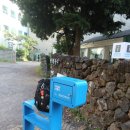 관덕정약국 이미지