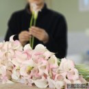 로타리 꽃농원 이미지