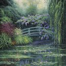 소나무와 호수 이미지