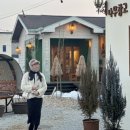 카페나무창고