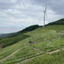 투다리속초중앙점 이미지