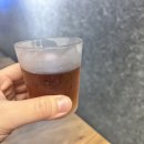 개금안집