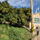 풍류보건진료소 이미지