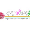 즐거운퀄트 이미지