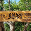 도원2농장 이미지