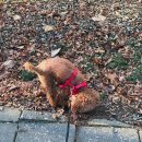 강남코모키이비인후과의원 이미지