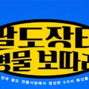 팔도몰 이데일리