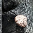 정숙 농장 이미지