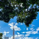 청합니다 이미지